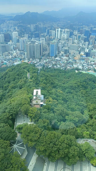 namsan tower view